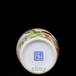 Beautiful Chinese Hand Painting Famille Rose Porcelain Flowers Bird Shang Vase