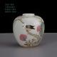 Beautiful Chinese Hand Painting Famille Rose Porcelain Flowers Bird Wash