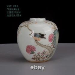 Beautiful Chinese Hand Painting Famille Rose Porcelain Flowers Bird Wash