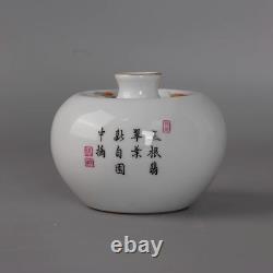 Beautiful Chinese Hand Painting Famille Rose Porcelain lotus Wash