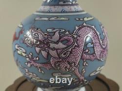 Boutique Chinese Famille Rose Porcelain Vase