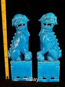 Chinese Antique Blue Porcelain Ceramic Foo Dog Statue Figurine One Pair