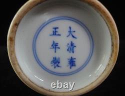 Chinese Antique DouCai Hand Painting Flowers Porcelain Vase YongZheng Mark