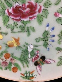 Chinese Antique Famille Rose Porcelain Plate With Flowers and Butterflies