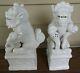 Chinese Blanc De Chine Porcelain Foo Dog Lion Set Figurines 11 Pair