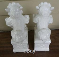 Chinese Blanc de Chine Porcelain Foo Dog Lion Set Figurines 11 Pair