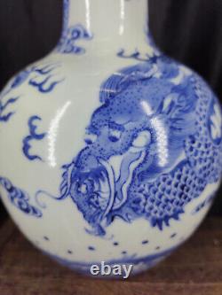 Chinese Blue&White Porcelain HandPainted Exquisite Fish Dragon Vases 15692