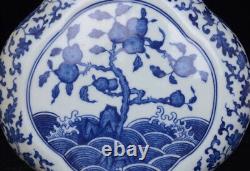 Chinese Blue&White Porcelain HandPainted Exquisite Vase 15211