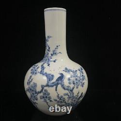 Chinese Blue&white Porcelain Hand-Paintde Exquisite Flowers&Birds Vase 14823