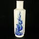 Chinese Blue&white Porcelain Hand-painted Exquisite Flowers&birds Vases 15081