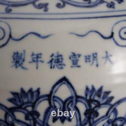 Chinese Blue&white Porcelain HandPainted Exquisite Flowers&Plants Vase 21334