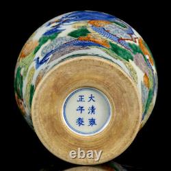 Chinese Doucai Porcelain HandPainted Exquisite Dragon Pattern Vase 21153