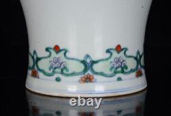 Chinese Doucai Porcelain HandPainted Exquisite Flowers&Plants Vase 19547