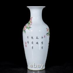 Chinese Enamel Colour Porcelain HandPainted Exquisite Flower&Bird Vase 25142