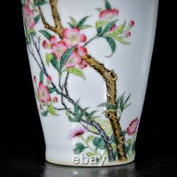 Chinese Enamel Colour Porcelain HandPainted Exquisite Flower&Bird Vase 25142