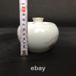 Chinese Enamel Porcelain Handmade Exquisite Pattern Vase 18081
