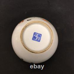 Chinese Enamel Porcelain Handmade Exquisite Pattern Vase 18081