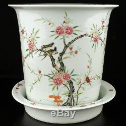 Chinese Famille Rose Porcelain Planter Flower Pot Birds Republic Period
