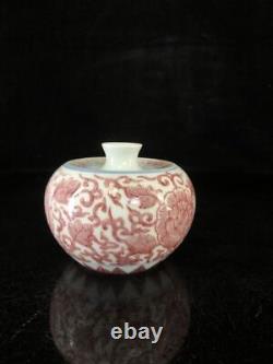 Chinese Pastel Porcelain HandPainted Exquisite Pattern Vase 8997