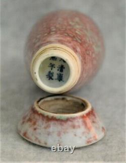 Chinese Peach Bloom Porcelain Vase With Mark P4046