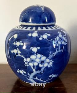 Chinese Porcelain Blue & White Hawthorne Prunus Cracked Ice Vase Ginger Jar #1