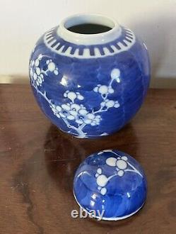 Chinese Porcelain Blue & White Hawthorne Prunus Cracked Ice Vase Ginger Jar #1