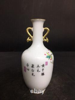 Chinese Porcelain HandPainted Exquisite Flowers&Plants Vase 19615