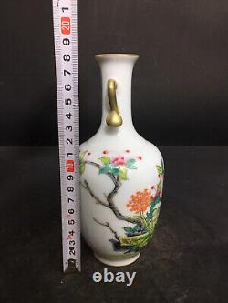 Chinese Porcelain HandPainted Exquisite Flowers&Plants Vase 19615