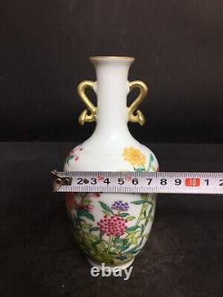 Chinese Porcelain HandPainted Exquisite Flowers&Plants Vase 19615