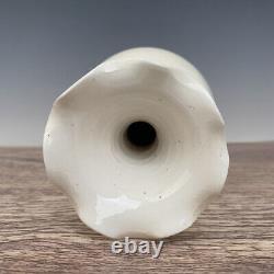 Chinese Porcelain Handmade Exquisite Vase 20669