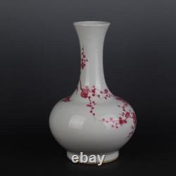 Chinese Porcelain Qing Dynasty Kangxi Carmine Red Flowers and Birds Vase 13.85'