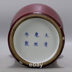 Chinese Porcelain Qing Dynasty Kangxi Red Glaze Guanyin Vase 14.37 Inch