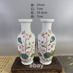 Chinese Porcelain Qing Tongzhi Famille Rose Cordyceps Sinensis Vase A Pair 9.84