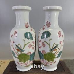 Chinese Porcelain Qing Tongzhi Famille Rose Cordyceps Sinensis Vase A Pair 9.84