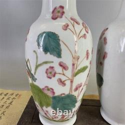 Chinese Porcelain Qing Tongzhi Famille Rose Cordyceps Sinensis Vase A Pair 9.84