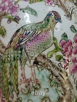 Chinese Unique Old Hand Painted Porcelain Vase 16.5in