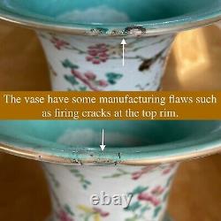 Chinese famille rose Porcelain vase with Phoenix Tongzhi, late Qing Dynasty #788