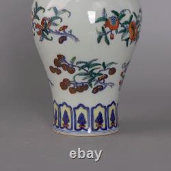 Collectable Art Handmade Painting Dou Polychrome Porcelain FFlowers Plants Vase