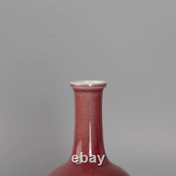 Delicate Chinese Hand Painting Red Glaze Porcelain Vase