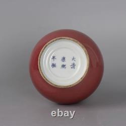 Delicate Chinese Hand Painting Red Glaze Porcelain Vase