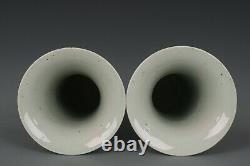 Fine Beautiful Pair Chinese Blue and White Porcelain Vase