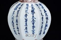 Fine Chinese Hand Painting Blue&white Porcelain Dan Vase