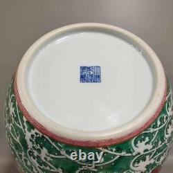 Fine Rare Qing Dynasty Chinese Porcelain Famille Rose Fish Vase