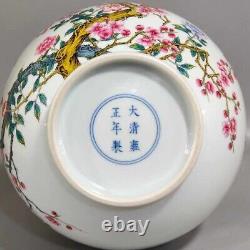 Fine Rare Qing Dynasty Chinese Porcelain Famille Rose Song Zhu Mei Flower Vase