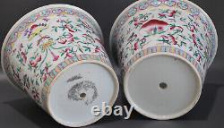 Gorgeous Pair of Antique Chinese Porcelain Planters Qing Period