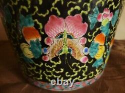 Heavy Antique Chinese Porcelain Planter Famille Noire Butterflies Signed Inside