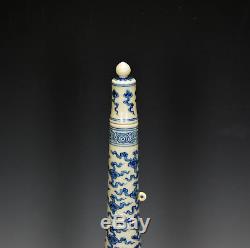 Important Chinese Long Neck Ming Blue and White Phoenix Globular Porcelain Vase