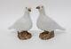 Pair Antique 19thc Chinese Export Porcelain Birds Figures Of A Doves Or Pigeons