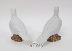 Pair Antique 19thC Chinese Export Porcelain Birds Figures of a Doves or Pigeons