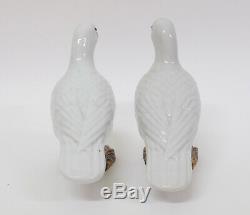 Pair Antique 19thC Chinese Export Porcelain Birds Figures of a Doves or Pigeons